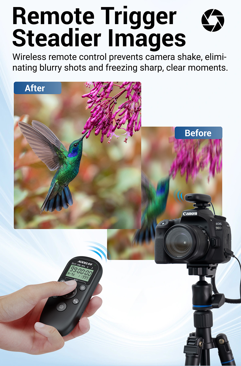 画板 6.jpg